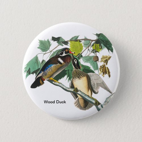 Wood Duck by John James Audubon Birdwatcher Bird Button
