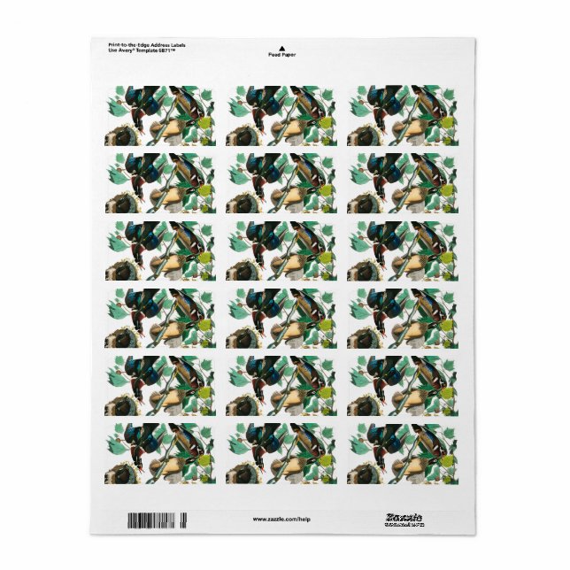 Wood Duck by John James Audubon Label (Full Sheet)