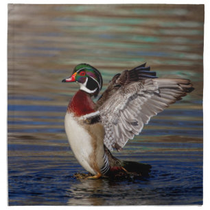 Wood Duck Cloth Napkin