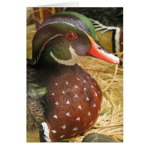 Wood Duck Decoy