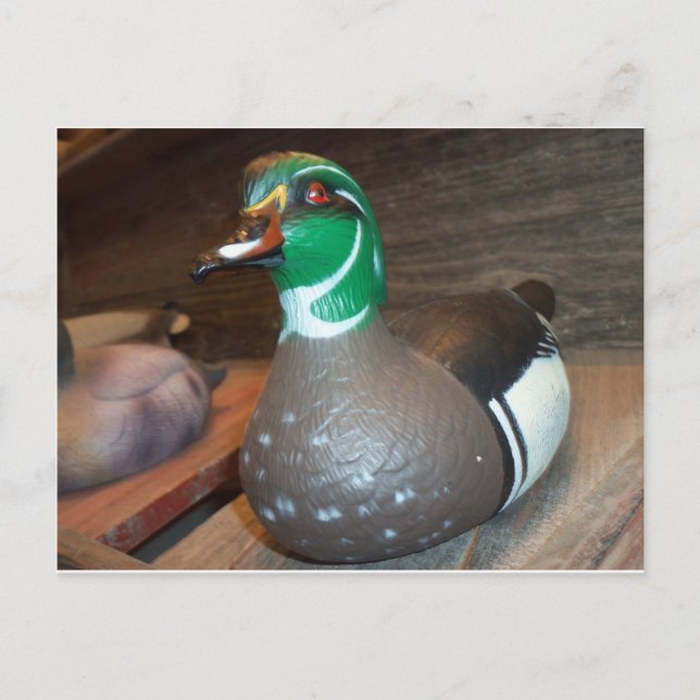 Wood Duck Decoy Postcard (Front)