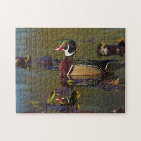 Wood Duck Drake 1 Jigsaw Puzzle