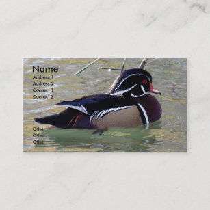 Wood Duck Drake Business Card