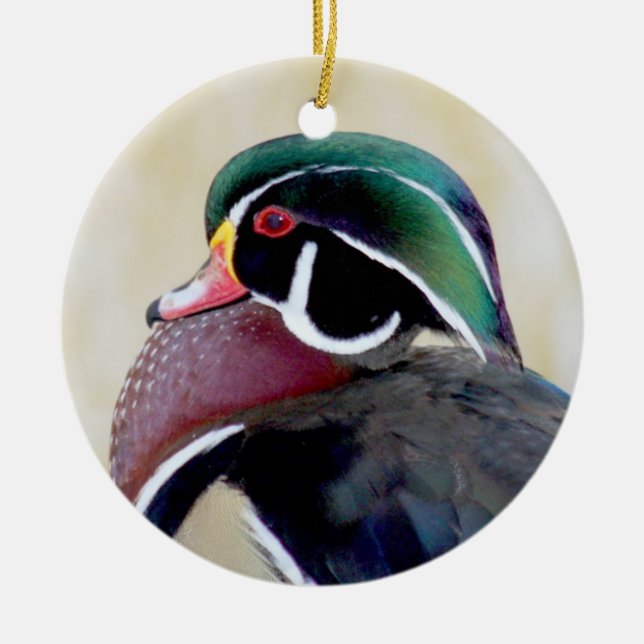 Wood Duck Drake Ceramic Ornament (Front)