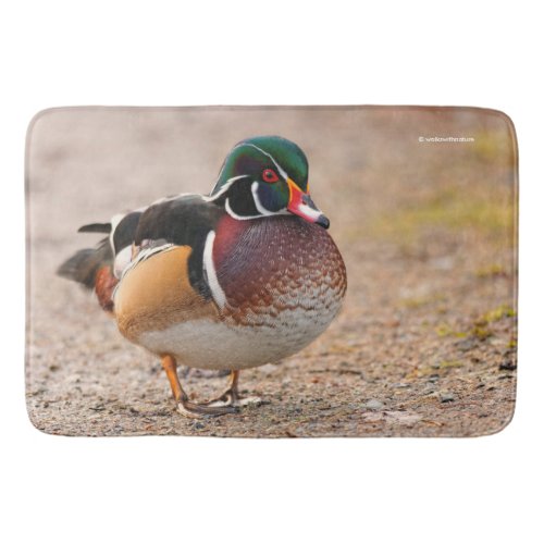 Wood Duck Drake on Gravel Bathroom Mat