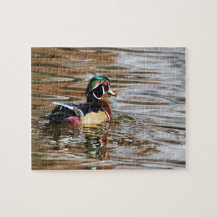 Wood Duck Drake on the Water Jigsaw Puzzle