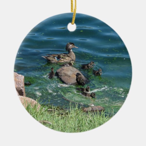 Wood Duck Family Ceramic Ornament