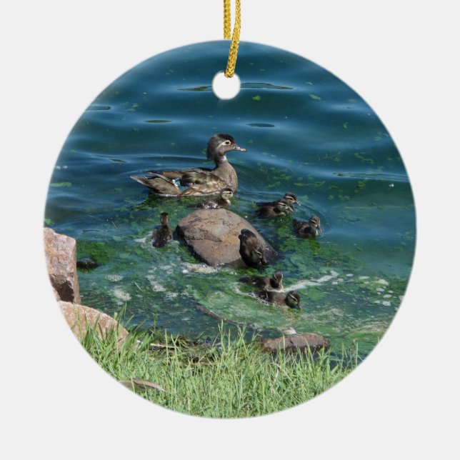 Wood Duck Family Ceramic Ornament (Front)
