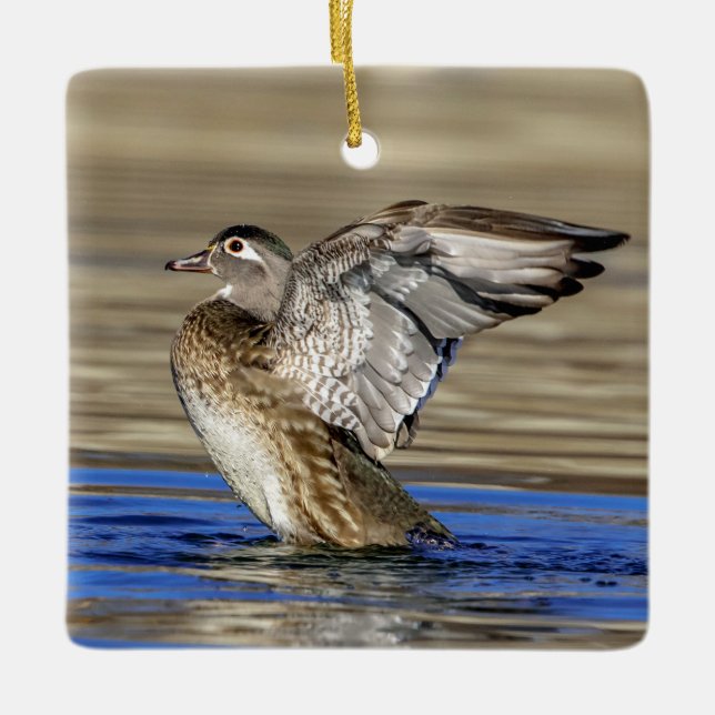 Wood Duck flapping her wings Ceramic Ornament (Front)