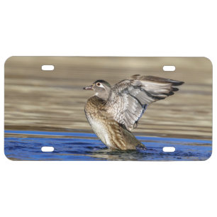 Wood Duck flapping her wings License Plate