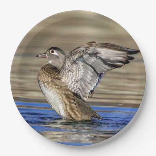 Wood Duck flapping her wings Paper Plates