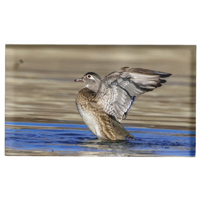 Wood Duck flapping her wings Place Card Holder (Front)