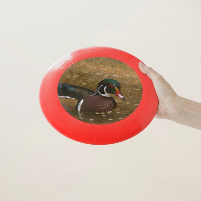 Wood Duck Frisbee (In Hand)