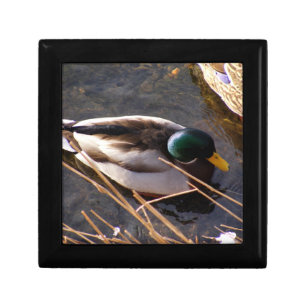 Wood Duck Gift Box