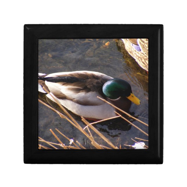 Wood Duck Gift Box (Front)