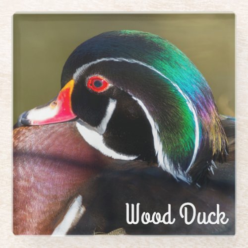 Wood Duck Glass Coaster