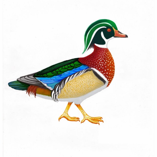 Wood Duck Holiday Ornament (Front)