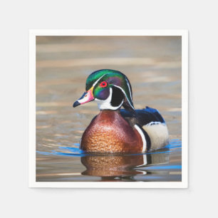 Wood Duck in a pond Napkins