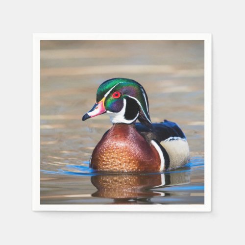 Wood Duck in a pond Napkins