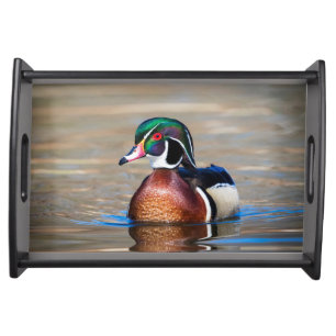 Wood Duck in a pond Serving Tray