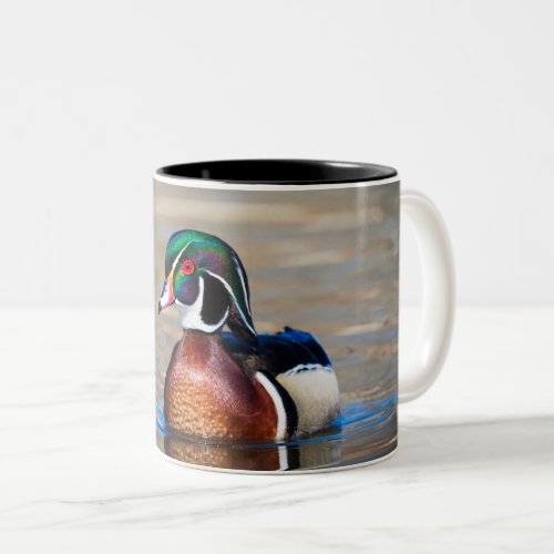 Wood Duck in a pond Two_Tone Coffee Mug