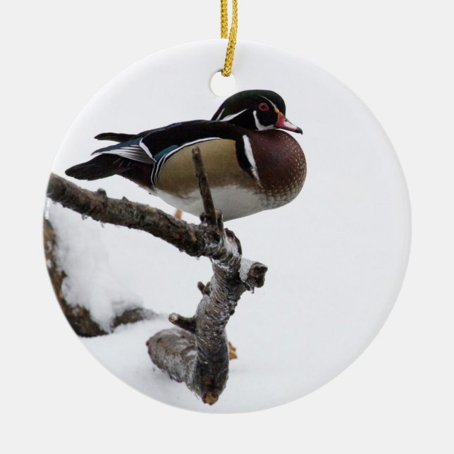 Wood Duck in Snow Ceramic Ornament (Front)