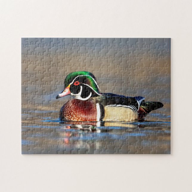 Wood Duck in the Hudson Valley Jigsaw Puzzle (Horizontal)