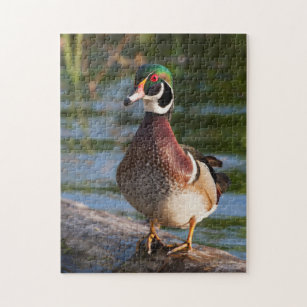 Wood Duck Jigsaw Puzzle