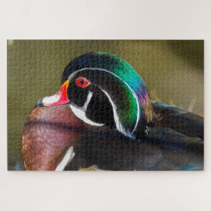 Wood Duck Jigsaw Puzzle