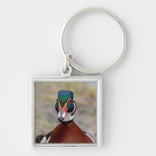 Wood Duck Keychain (Front)