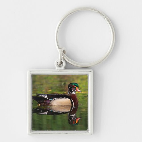 Wood Duck Keychain