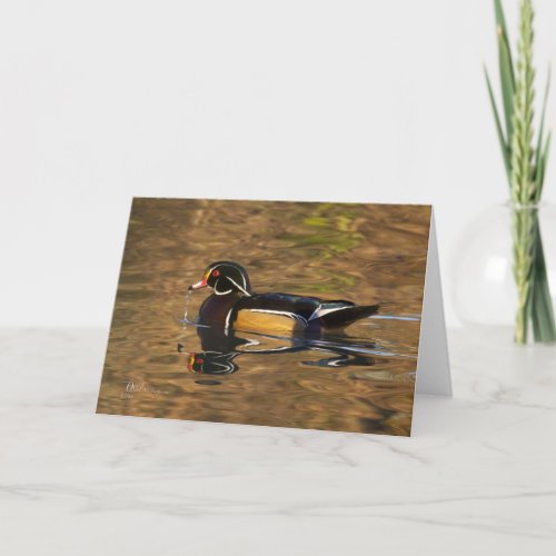 Wood Duck Male in light Card