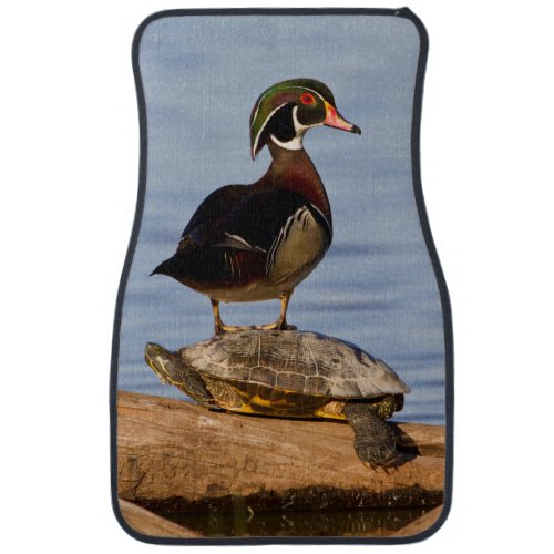 Wood Duck male standing on Red_eared Slider Car Mat