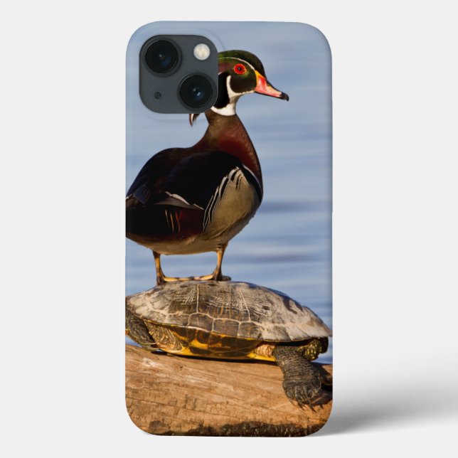 Wood Duck male standing on Red-eared Slider Case-Mate iPhone Case (Back)