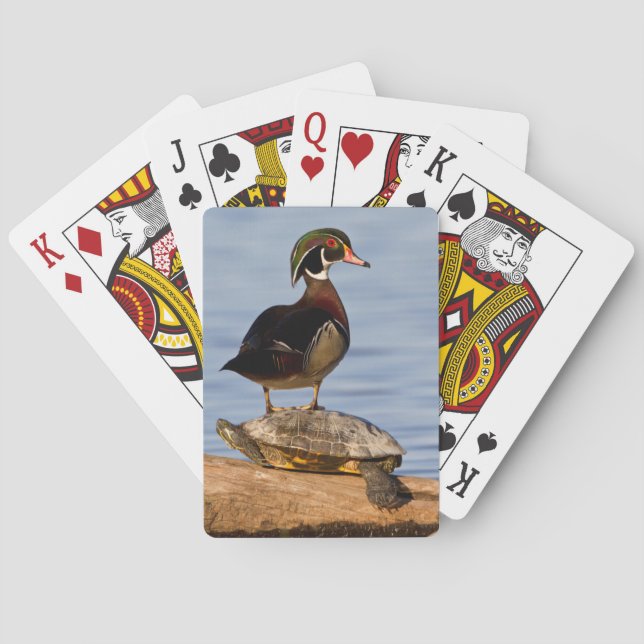 Wood Duck male standing on Red-eared Slider Poker Cards (Back)