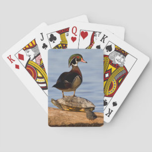 Wood Duck male standing on Red-eared Slider Poker Cards