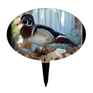 Wood Duck (Mississippi) Cake Topper