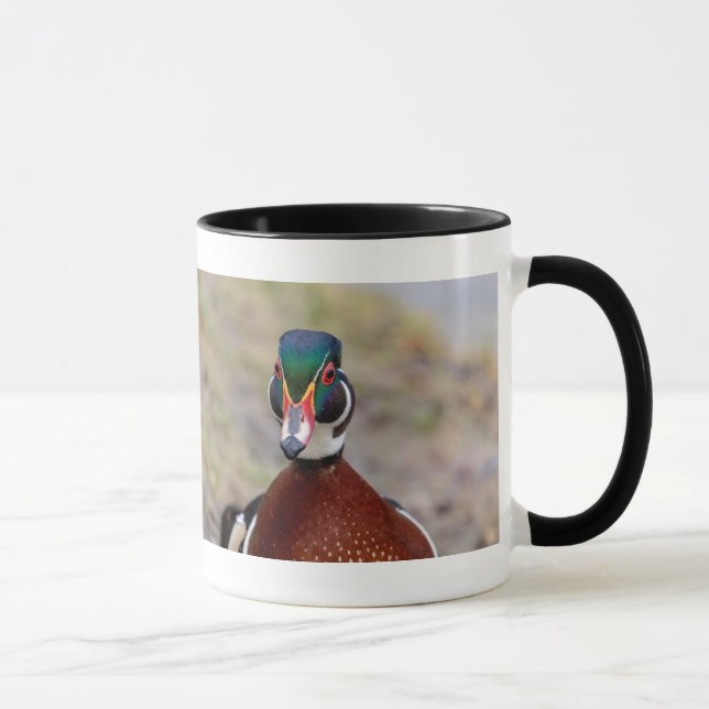 Wood Duck Mug (Right)