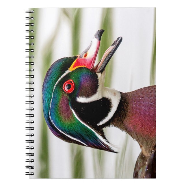 Wood Duck Notebook (Front)