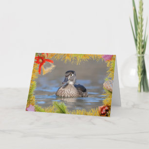 Wood Duck on a Christmas Card