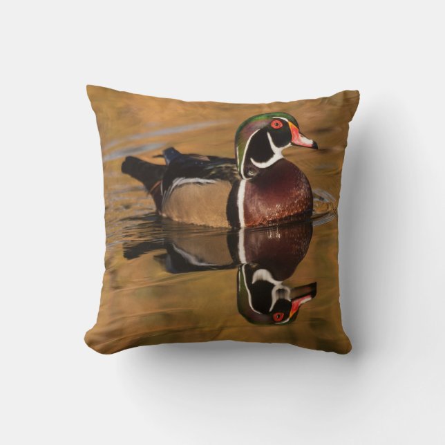 Wood Duck on Golden Lake Throw Pillow (Front)