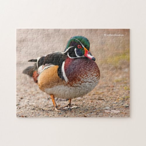 Wood Duck on Gravel Jigsaw Puzzle