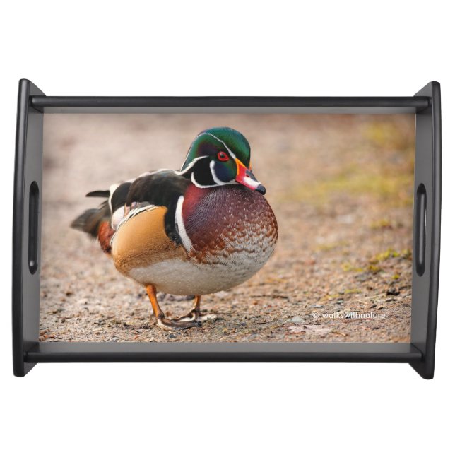 Wood Duck on Gravel Serving Tray (Front)