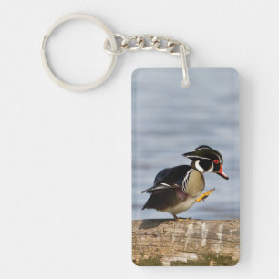 Wood Duck on log in wetland Keychain