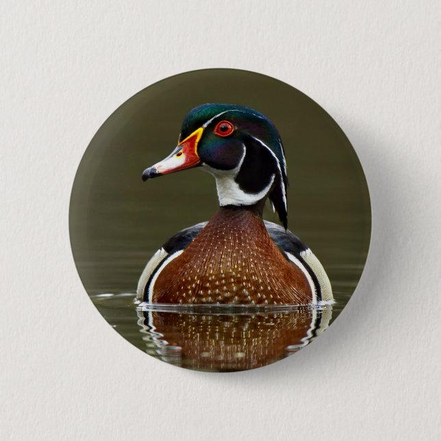 Wood Duck on Water Button (Front)