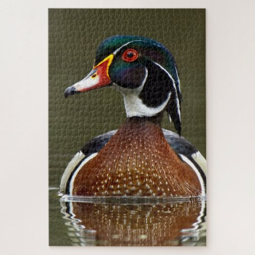 Wood Duck on Water Jigsaw Puzzle