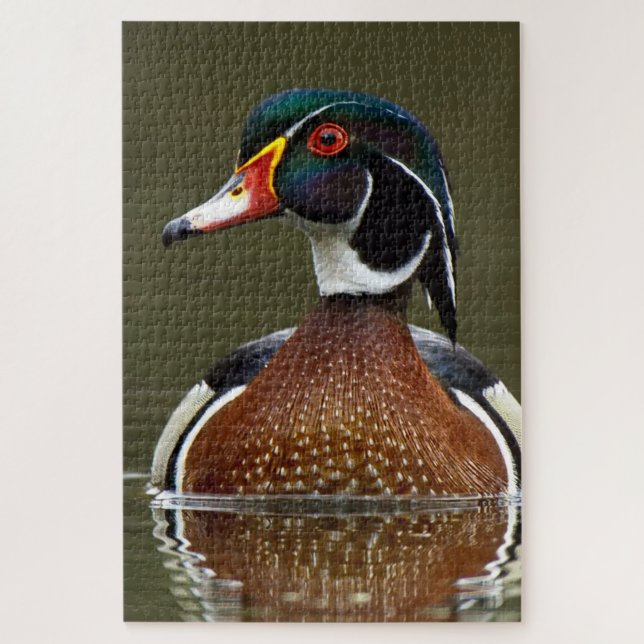 Wood Duck on Water Jigsaw Puzzle (Vertical)