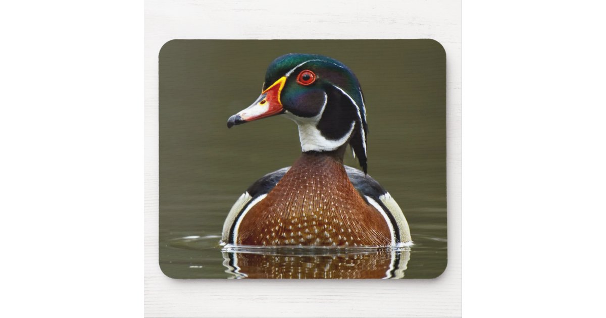 Rugged Series Wood Ducks | Hardcore™ Waterfowl