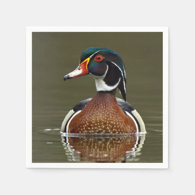 Wood Duck on Water Napkins (Front)