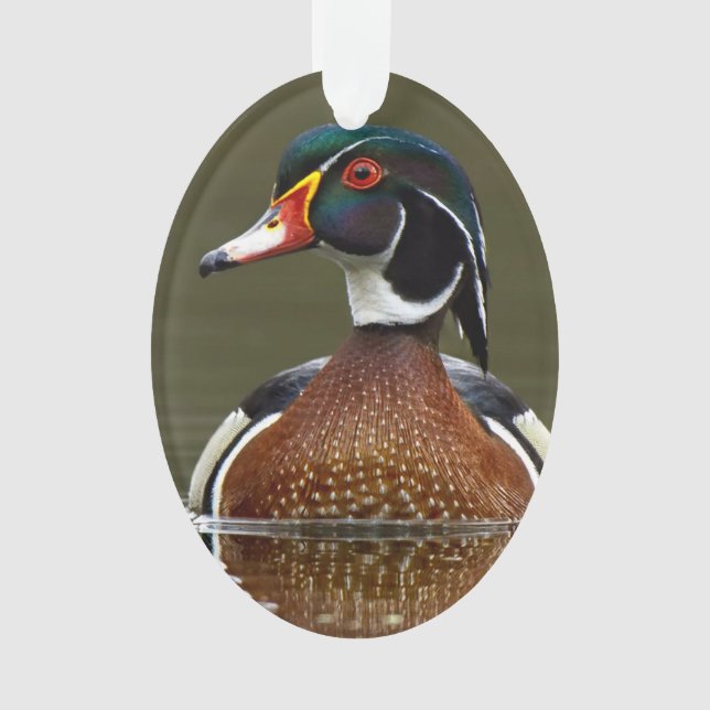 Wood Duck on Water Ornament (Front)